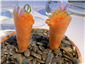 carrot cone with fish roe